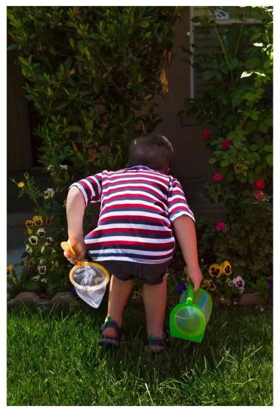INSECT CATCHING KIT